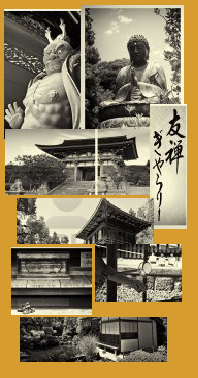 collage_3